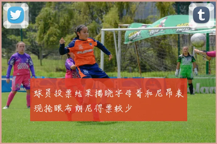 球员投票结果揭晓字母哥和尼昂表现抢眼布朗尼得票较少