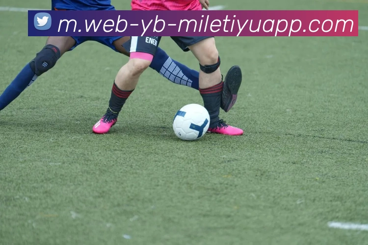 米乐体育平台生态图